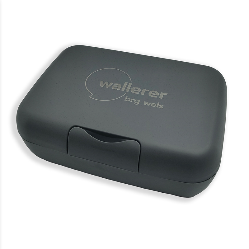 brgwels-meinshop-site-Lunchbox-titelbild